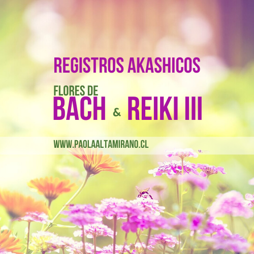Paola Altamirano - Registros Akashicos, Reiki III & Flores de Bach Paola Altamirano - Registros Akashicos, Reiki III & Flores de Bach